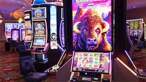 355 bet